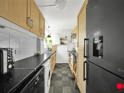 Picture 14
